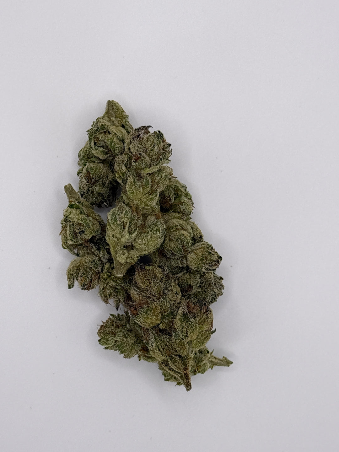 Cheetah Piss x Blueberry Caviar
