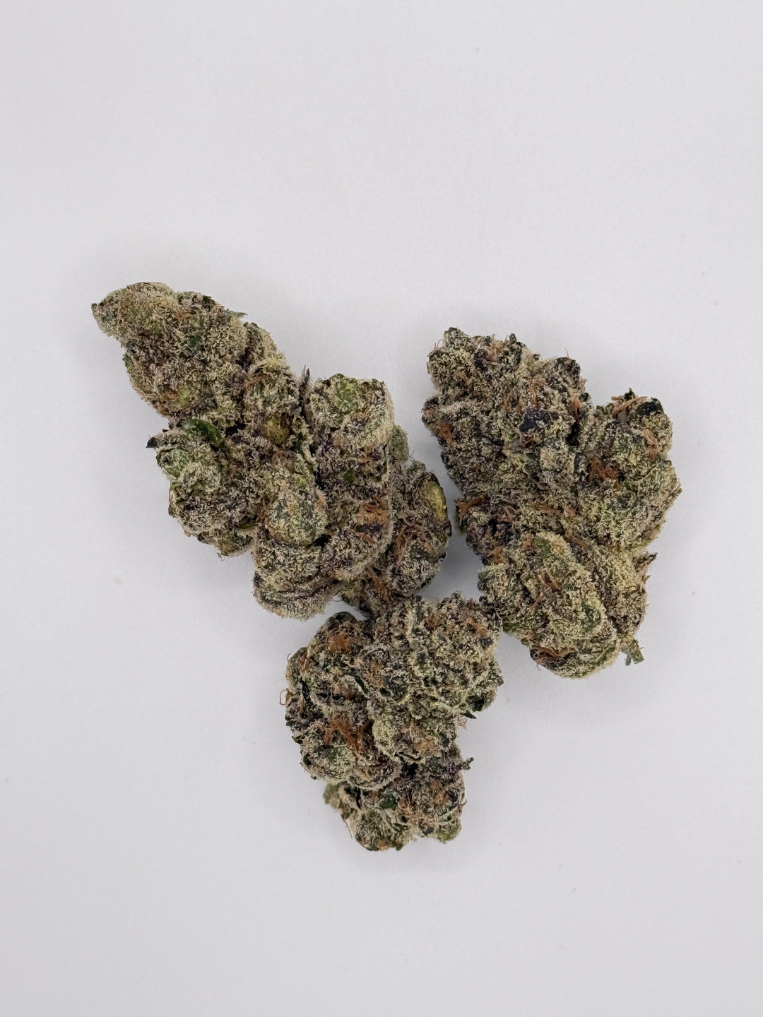 Blueberry Caviar - Indoor
