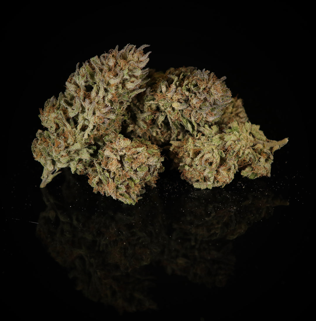 Purple Headies