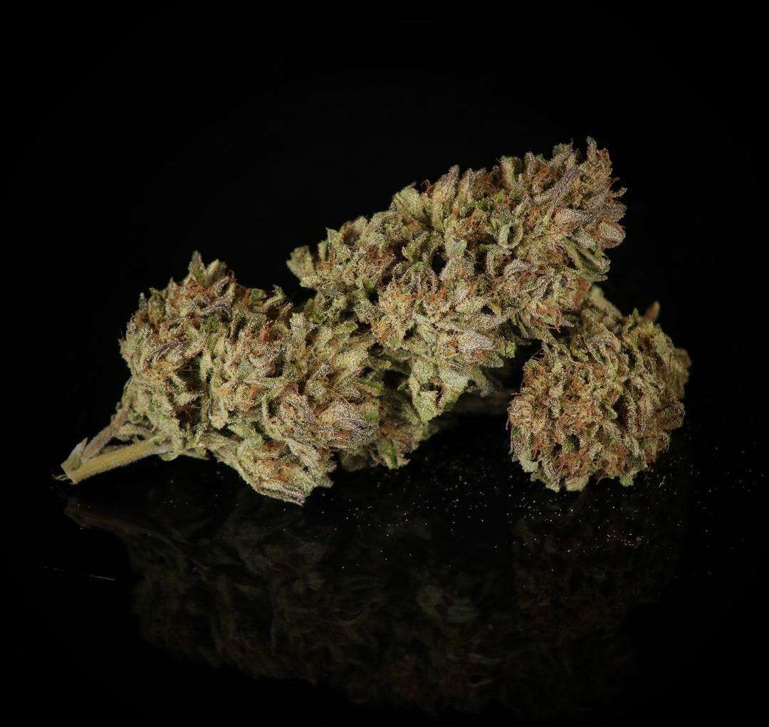 Purple Headies